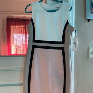 Calvin Klein Dress